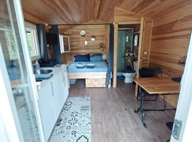 Lejlighed La Sapinede *